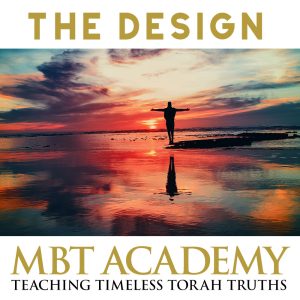 TheDesign1
